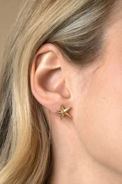 13mm ZINZI gold plated zilveren oorstekers grote zeester ZIO2641