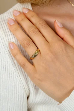 ZINZI gold plated zilveren ring (5mm breed) met veertjesmotief ZIR2644G