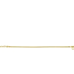 ZINZI gold plated zilveren platte slangen-armband 2,5mm breed ZIA2401G