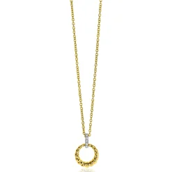 ZINZI zilveren bicolor ronde hanger 15mm gedraaid motief, hangoog bezet met witte zirconia's ZIH2403Y (zonder collier)