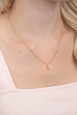 ZINZI zilveren hanger geel verguld zeester ZIH2064G (zonder collier)