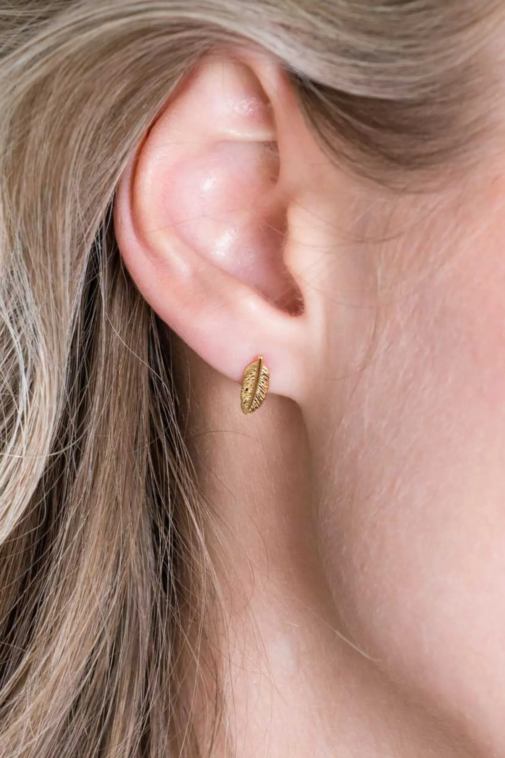 ZINZI zilveren oorknoppen 14K geel verguld veertje 10mm ZIO2212G