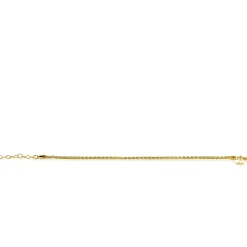 ZINZI zilveren schakelarmband geelverguld palmier 2mm breed ZIA1931G